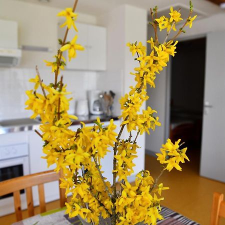 L'Orée du Pichier Boisset  Habitación foto