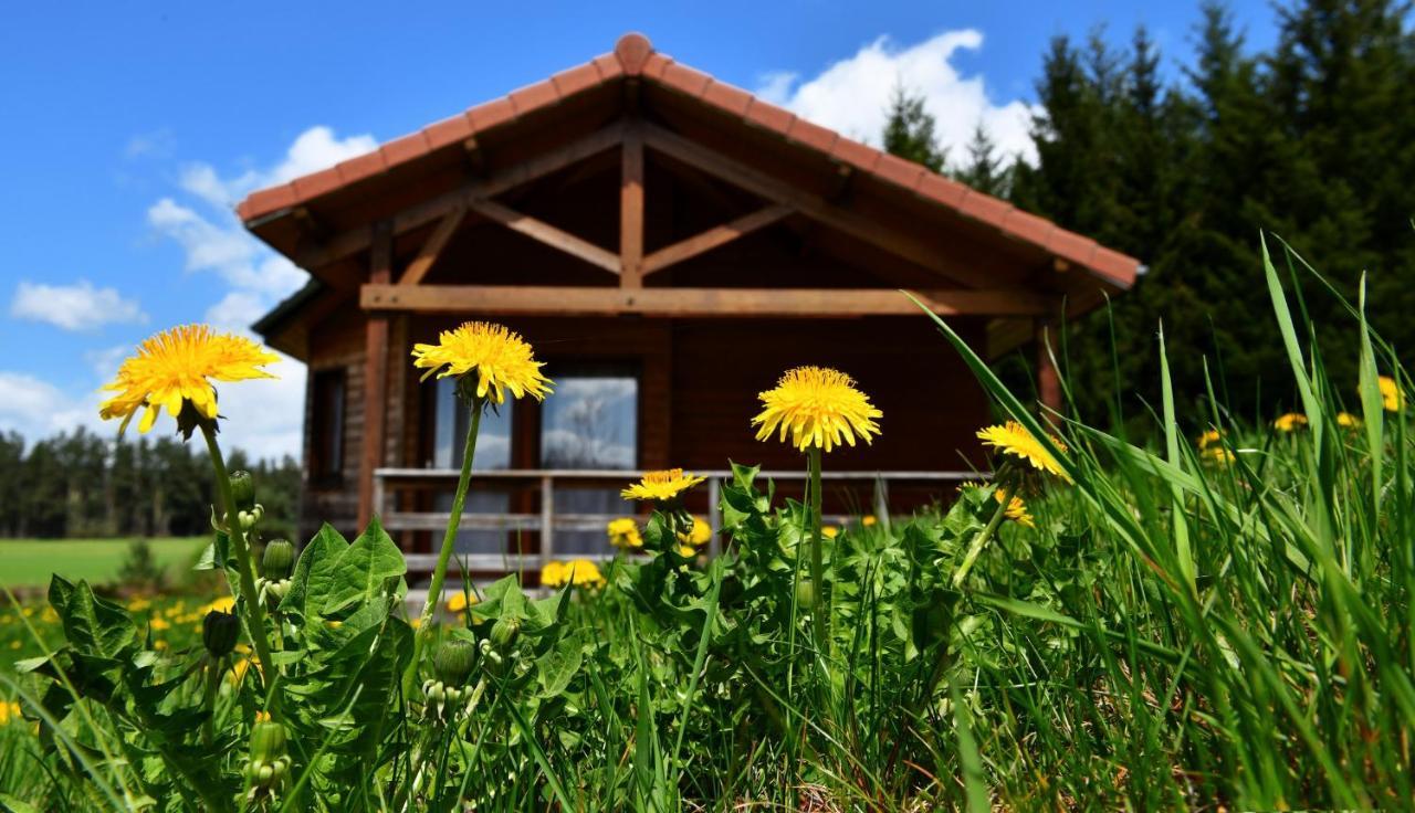 L'Orée du Pichier Boisset  Habitación foto